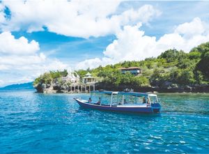Menjangan Island - West Bali